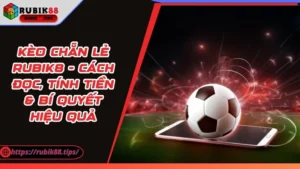 Kèo Chẵn Lẻ - Cách Đọc, Tính Tiền & Bí Quyết Hiệu Quả
