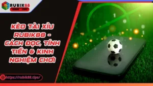 Kèo Tài Xỉu Rubik88 - Cách Đọc, Tính Tiền & Kinh Nghiệm Chơi