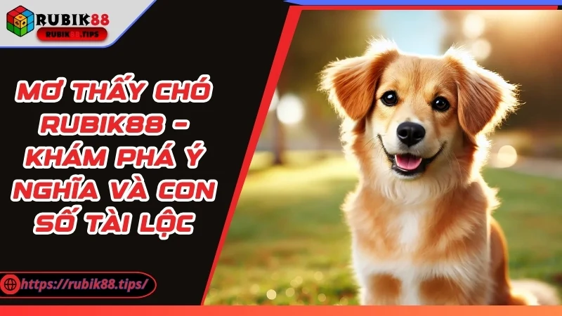 Mơ Thấy Chó – Khám Phá Ý Nghĩa Và Con Số Lô Đề Tài Lộc
