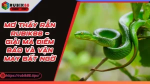 Mơ Thấy Rắn – Giải Mã Điềm Báo Và Vận May Bất Ngờ
