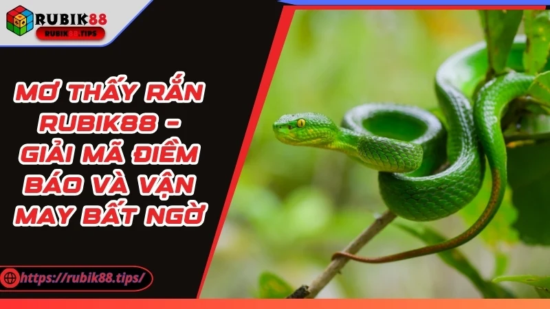Mơ Thấy Rắn – Giải Mã Điềm Báo Và Vận May Bất Ngờ