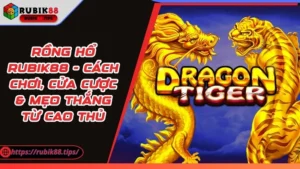 Rồng Hổ Rubik88 - Cách Chơi, Cửa Cược & Mẹo Thắng Từ Cao Thủ