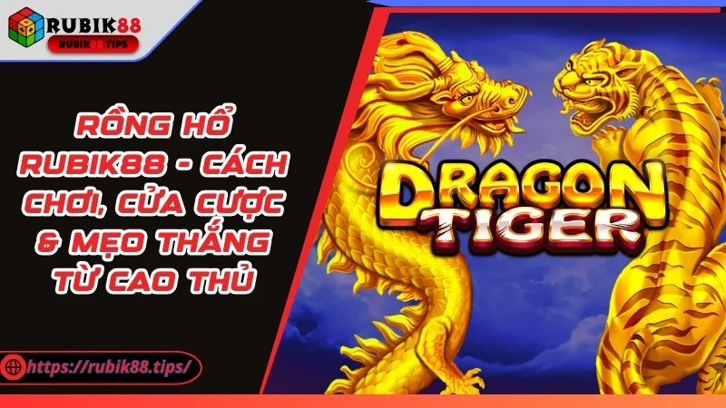 Rồng Hổ Rubik88 - Cách Chơi, Cửa Cược & Mẹo Thắng Từ Cao Thủ